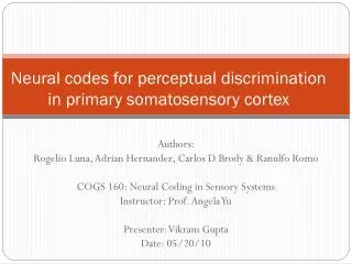 Neural codes for perceptual discrimination in primary somatosensory cortex