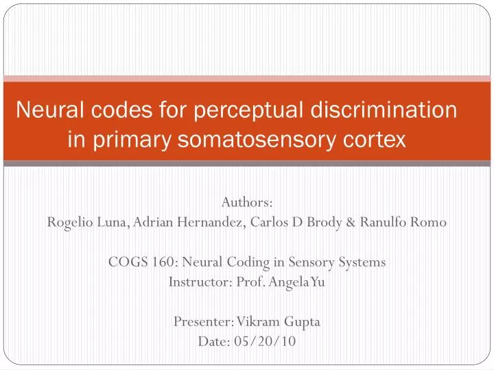 neural codes for perceptual discrimination in primary somatosensory cortex