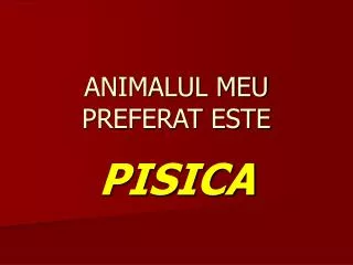 animalul meu preferat este