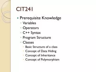 CIT241