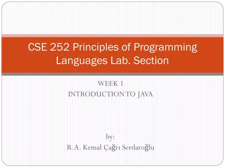 cse 252 principles of programming languages lab section