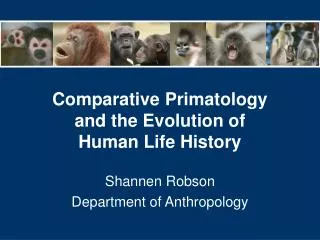 Comparative Primatology and the Evolution of Human Life History