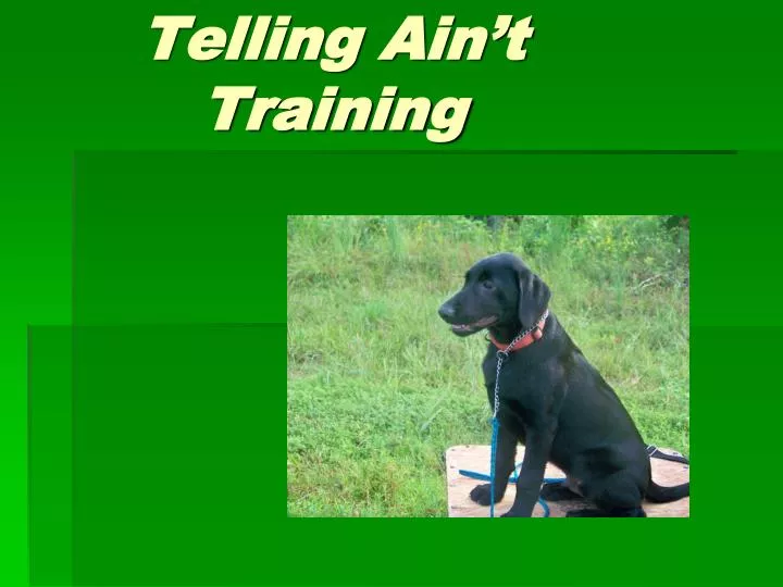telling ain t training