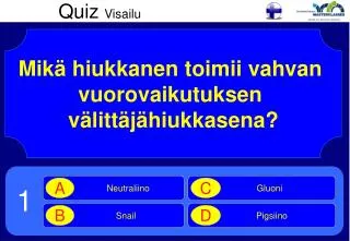 quiz visailu