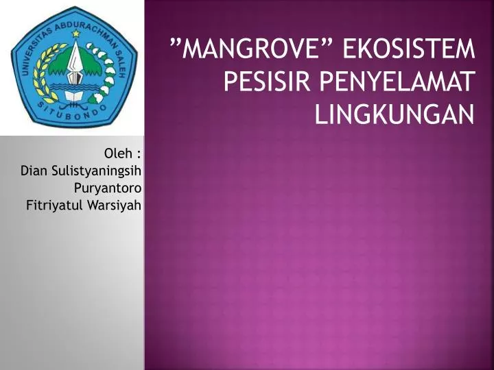 mangrove ekosistem pesisir penyelamat lingkungan