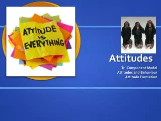 Attitudes