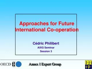 Approaches for Future International Co-operation
