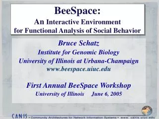 BeeSpace: An Interactive Environment for Functional Analysis of Social Behavior