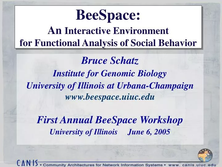 beespace an interactive environment for functional analysis of social behavior