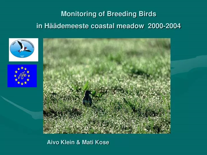 monitoring of breeding birds in h demeeste coastal meadow 2000 2004