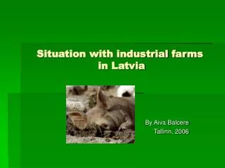 Situation with industrial farm s in Latvia