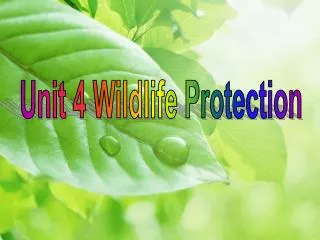 Unit 4 Wildlife Protection