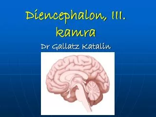 Diencephalon, III. kamra Dr Gallatz Katalin
