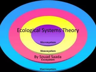 Ecological Systems Theory