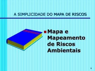 a simplicidade do mapa de riscos