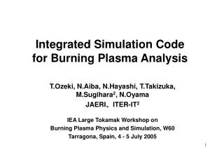 Integrated Simulation Code for Burning Plasma Analysis