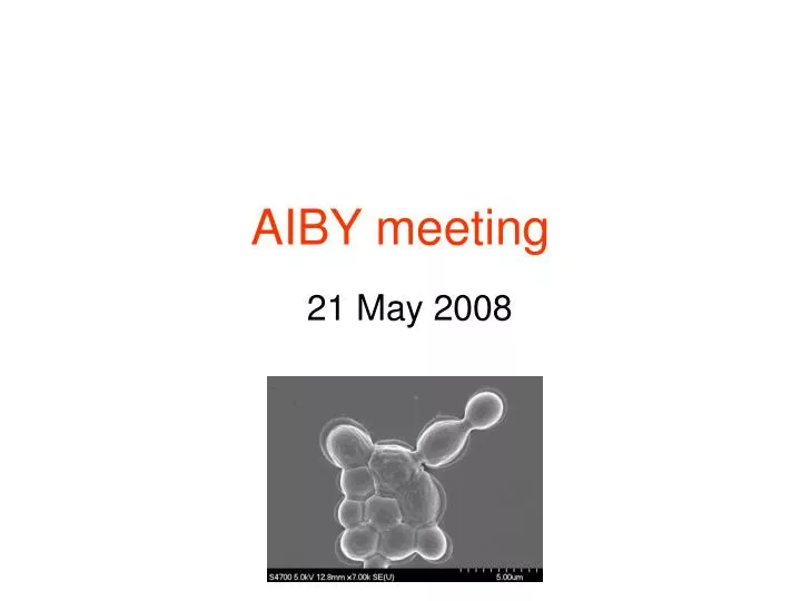 aiby meeting