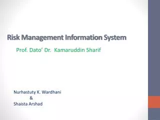 Risk Management Information System
