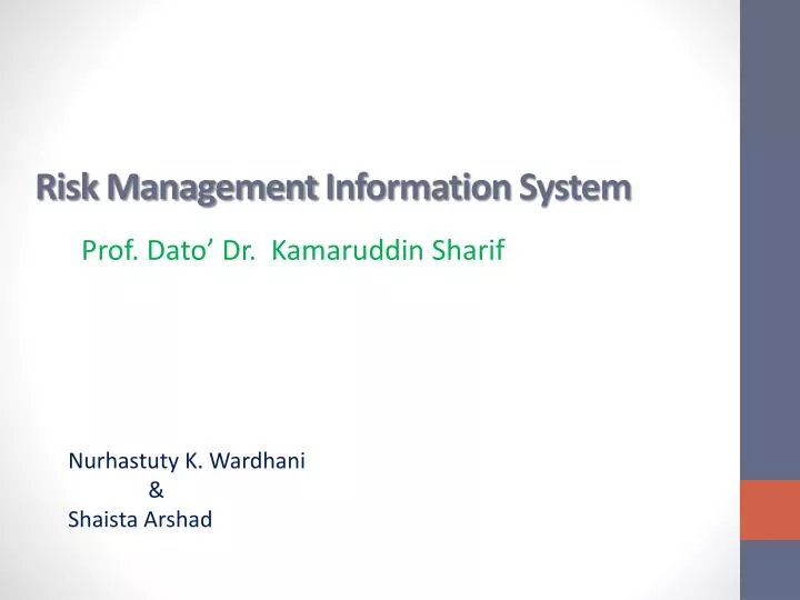 risk management information system