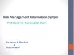 Risk Management Information System - slide 1