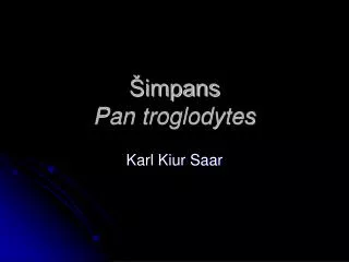 impans pan troglodytes