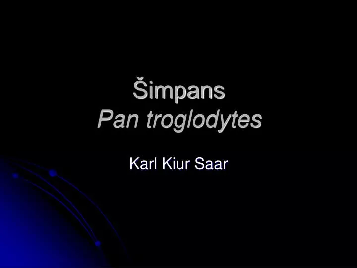 impans pan troglodytes