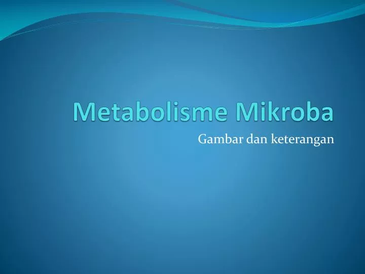 metabolisme m ikroba