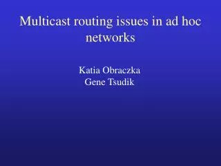 Multicast routing issues in ad hoc networks