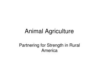 Animal Agriculture