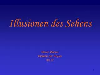 illusionen des sehens