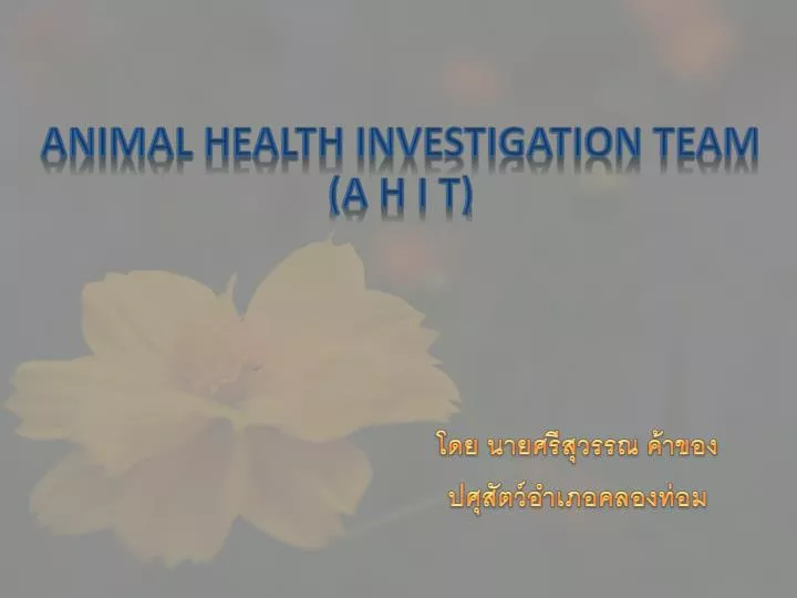 animal health investigation team a h i t