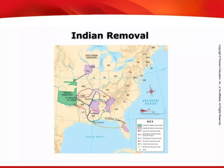 indian removal
