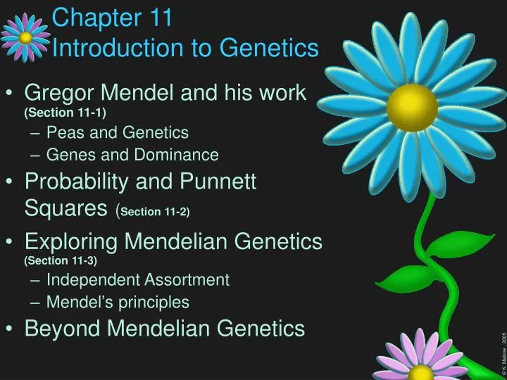 chapter 11 introduction to genetics