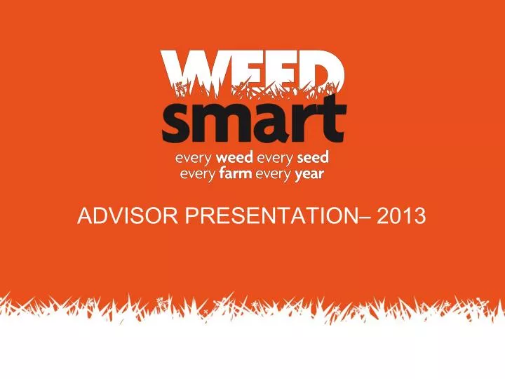 advisor presentation 2013
