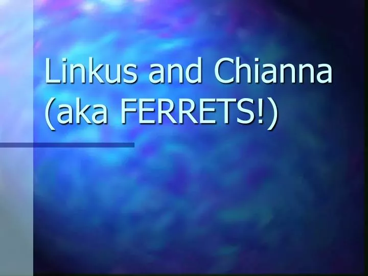 linkus and chianna aka ferrets