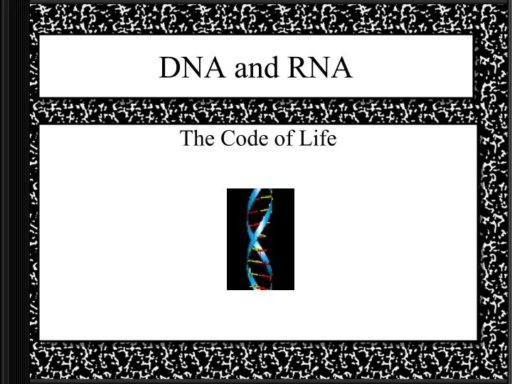 dna and rna