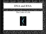 DNA and RNA - slide 1