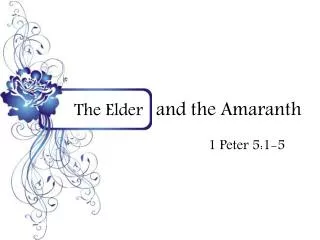 The Elder and the Amaranth