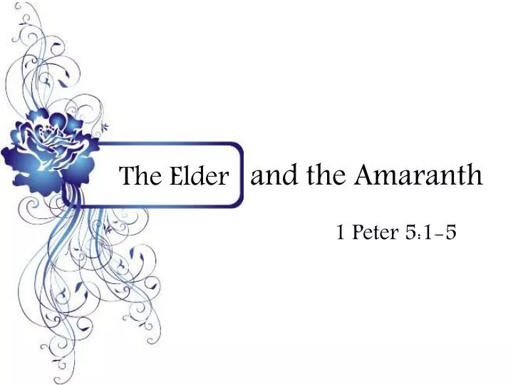 the elder and the amaranth