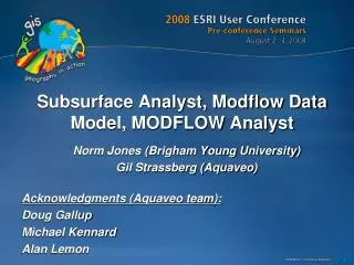 Subsurface Analyst, Modflow Data Model, MODFLOW Analyst