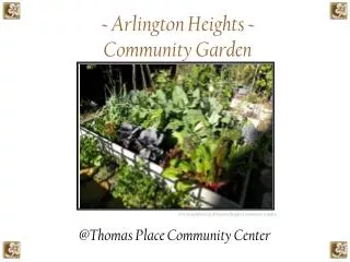 ~ Arlington Heights ~ Community Garden