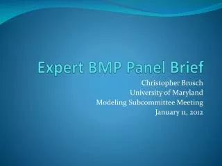 Expert BMP Panel Brief