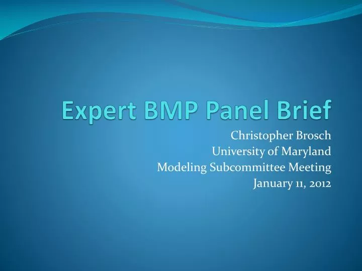 expert bmp panel brief