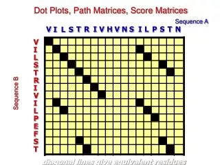 Dot Plots, Path Matrices, Score Matrices