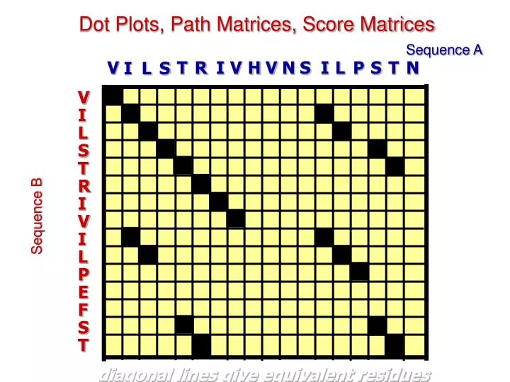 dot plots path matrices score matrices