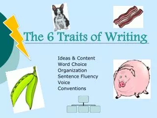 The 6 Traits of Writing