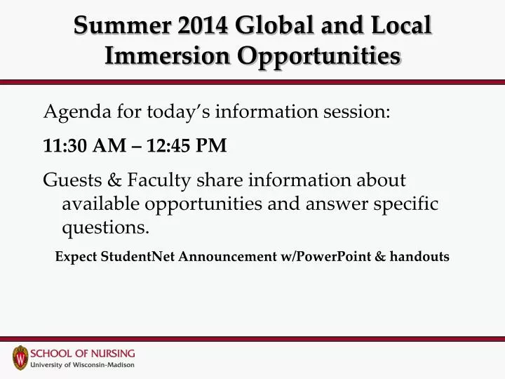 summer 2014 global and local immersion opportunities