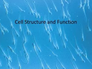 cell structure and function