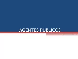 agentes publicos