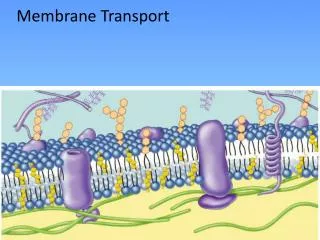 Membrane Transport